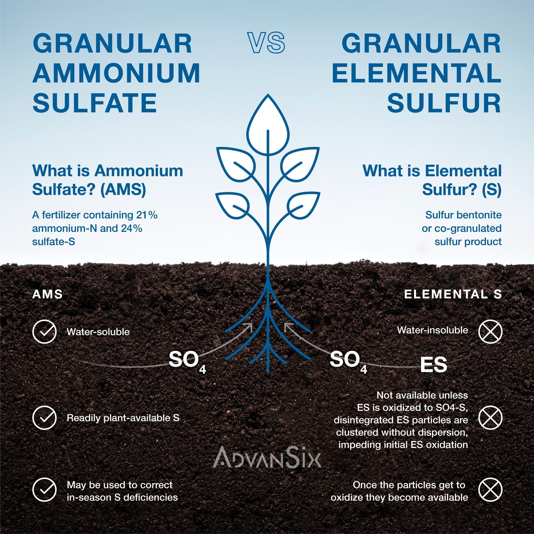 Granular Ammonium Sulfate vs. Granular Elemental Sulfur comparison
